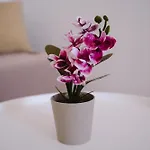 Spring - Mall Coresi Apartament