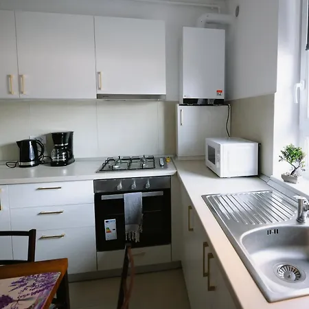 Spring - Mall Coresi *