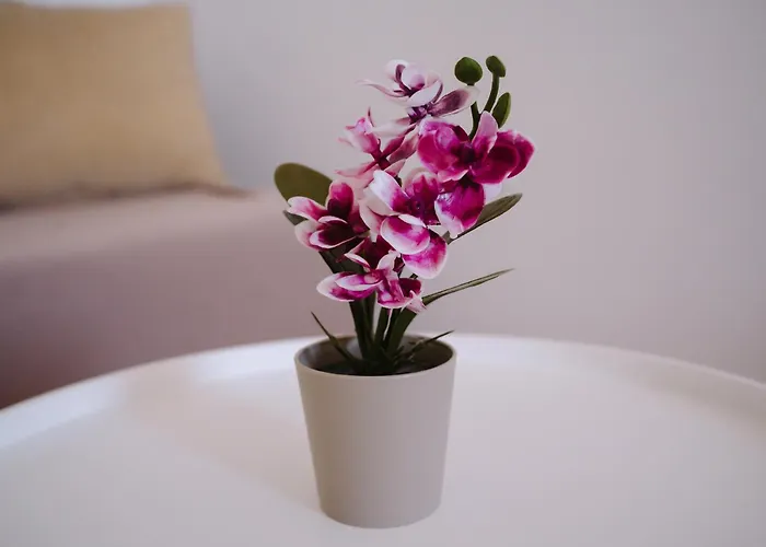 Spring - Mall Coresi Apartmán