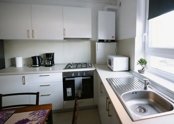 Spring - Mall Coresi *